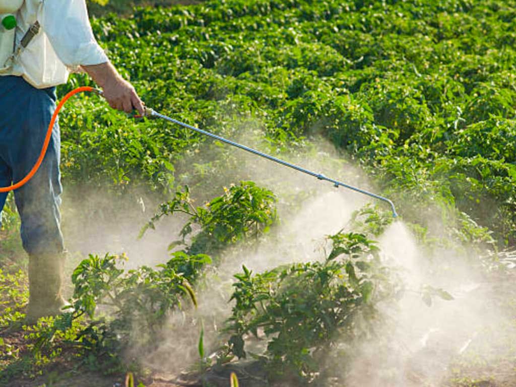 How do Pesticides Move in the Environment?