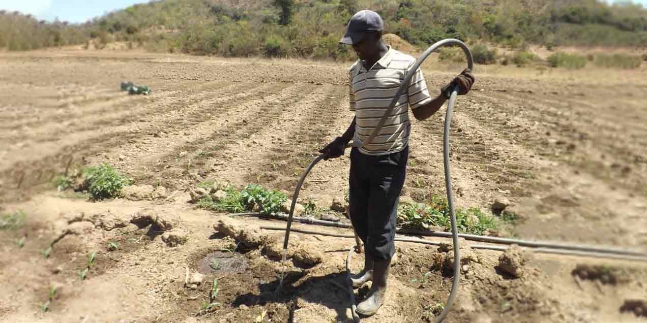 Climate Mitigation Efforts for Zambian Smallholder Farmers: A Path to Sustainability