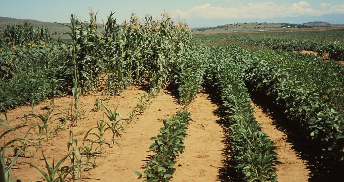 Why does soil acidity matter to crop productivity?