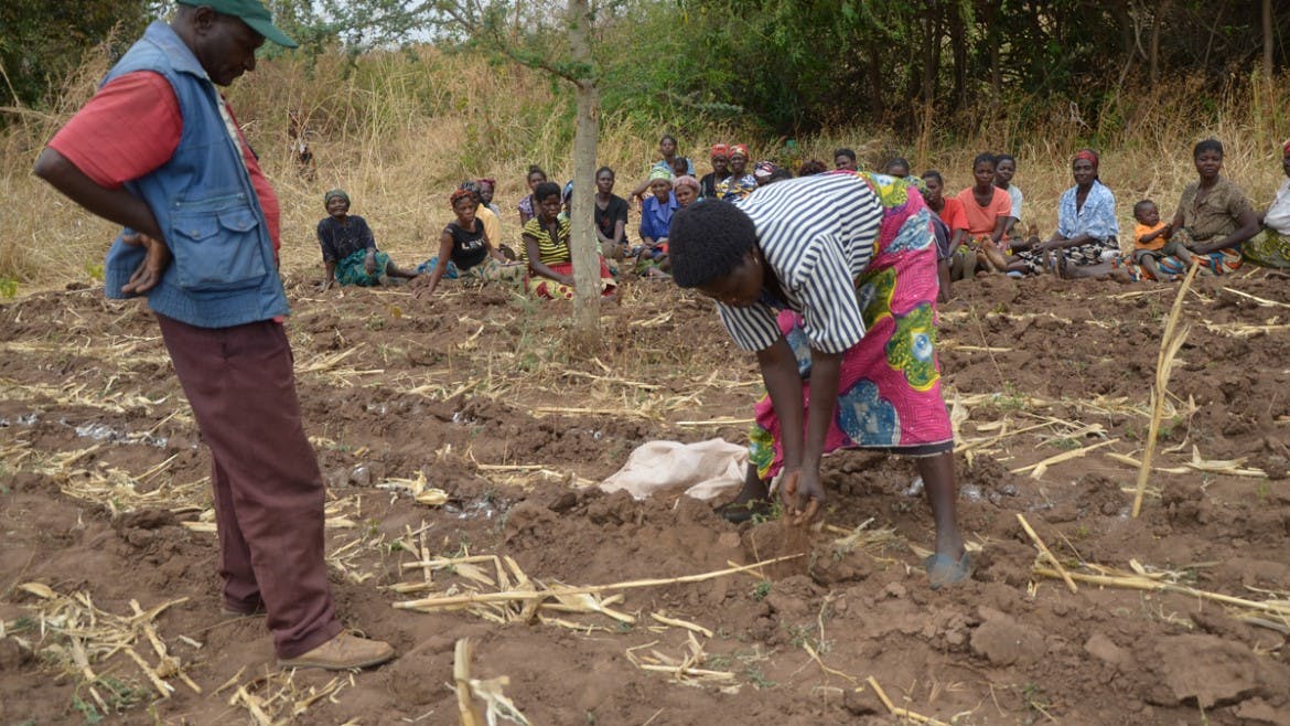 Climate Mitigation for Smallholder Farmers